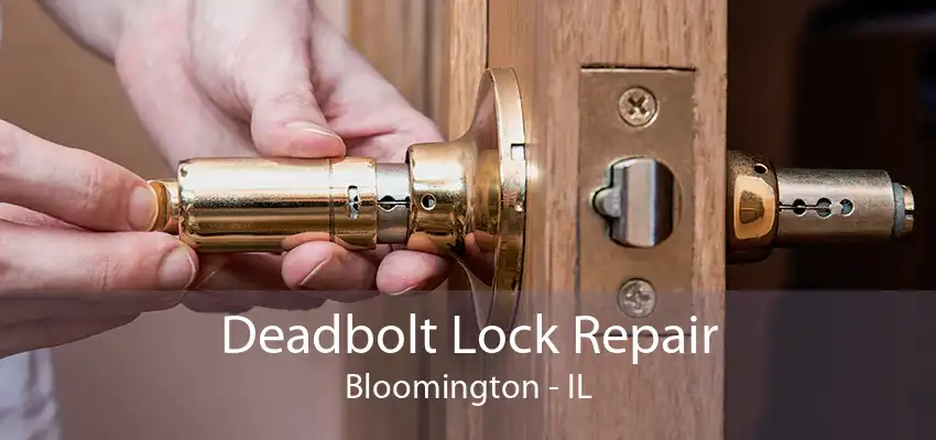 Deadbolt Lock Repair Bloomington - IL