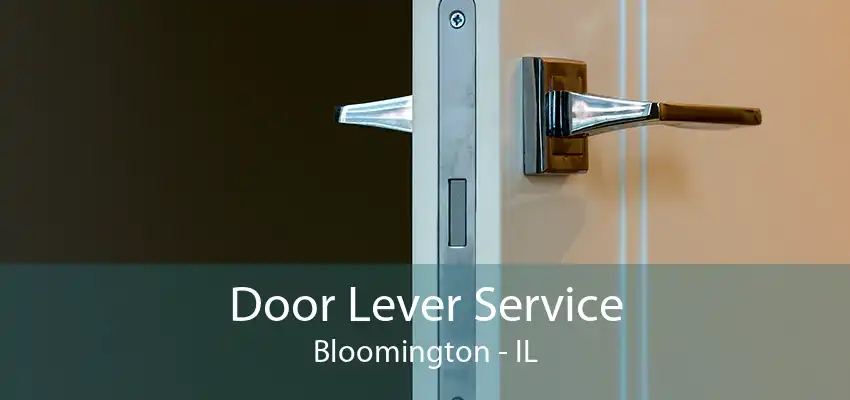 Door Lever Service Bloomington - IL