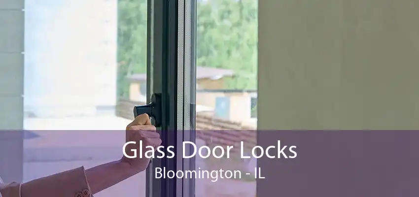 Glass Door Locks Bloomington - IL