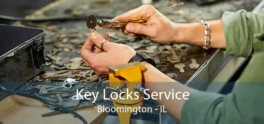 Key Locks Service Bloomington - IL