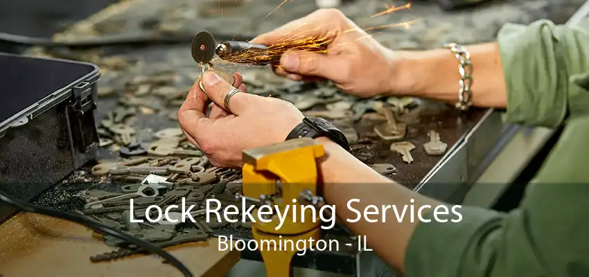 Lock Rekeying Services Bloomington - IL