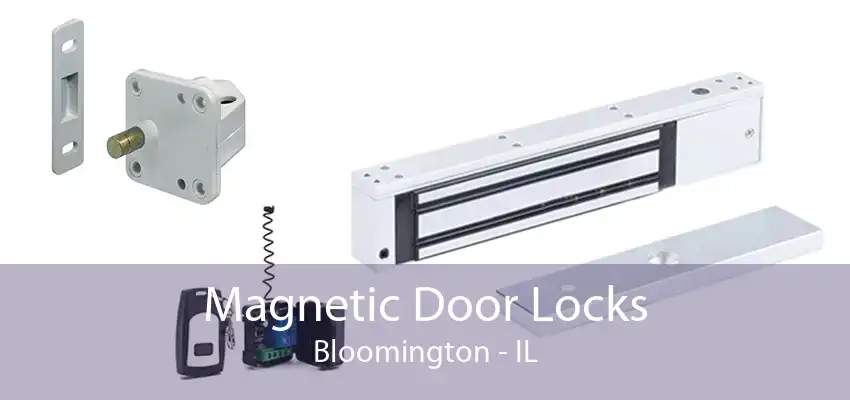 Magnetic Door Locks Bloomington - IL