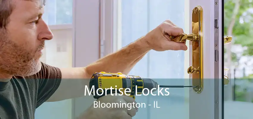 Mortise Locks Bloomington - IL